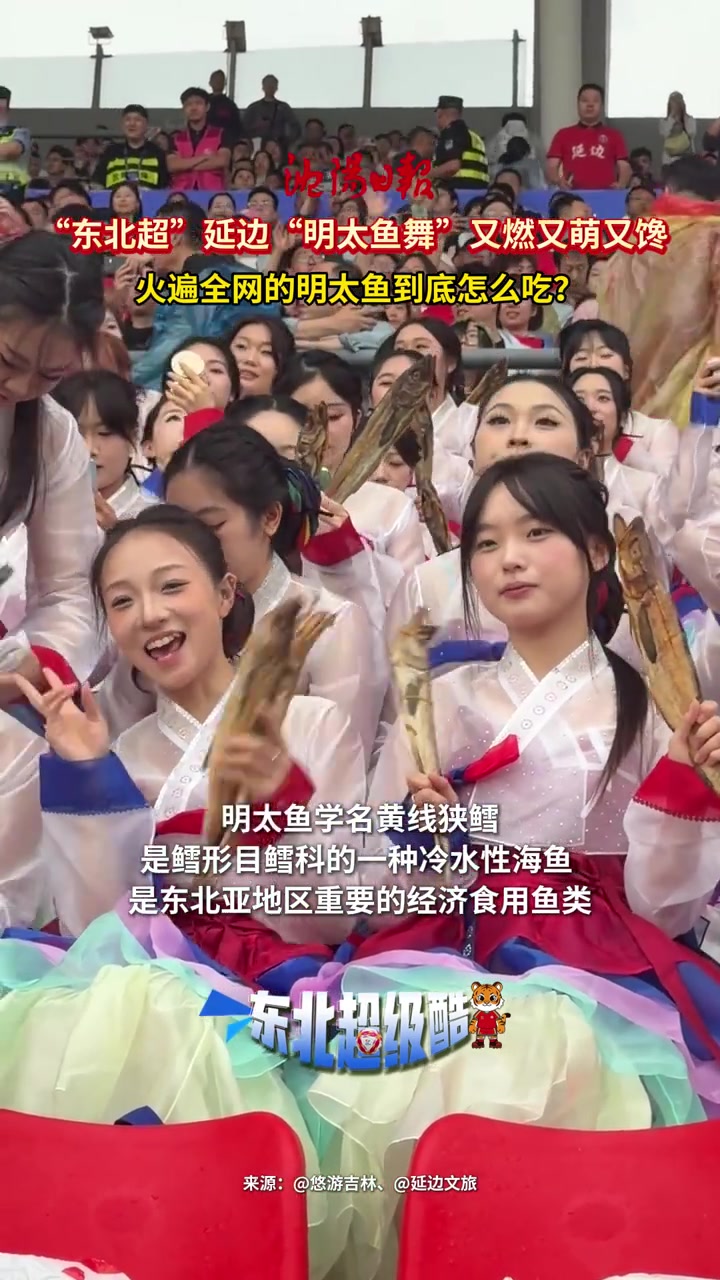延边啦啦队明太鱼舞抢镜东北超客场 延边啦啦队明太鱼舞抢镜东北超客场