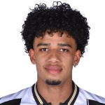 布雷纳